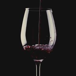 Vinspecialisten Stoltz