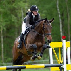 JSK Sportshorses
