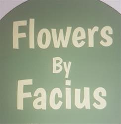Flowers By Facius