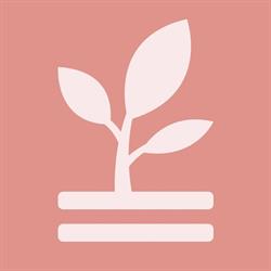 Bonsai Institute