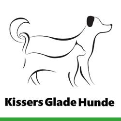 Kissers Glade Hunde