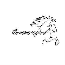 Icehorse stutteri & salgsstald