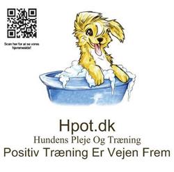 Hundens Pleje Og Træning