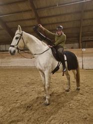 Staalsø Equestrian