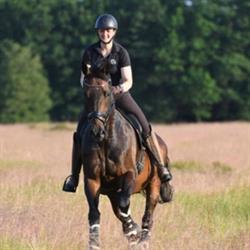 Gb - Dressage Aps