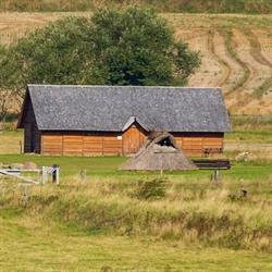 Vikingebyen