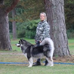 Hunde Specialisten
