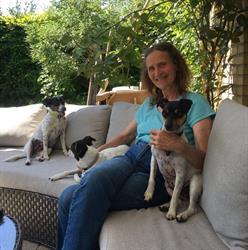 Bed and Breakfast Storemosegaard Gilleleje