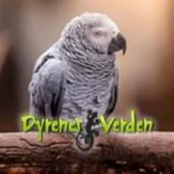 Dyrenes Verden Filskov