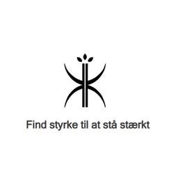 Køster Kinesiologi