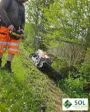 Grønne tjenester