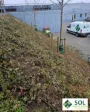 Ejendomsservice