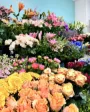 Blomster i Odense