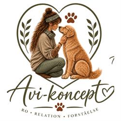 Avi-Koncept