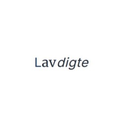 Lavdigte