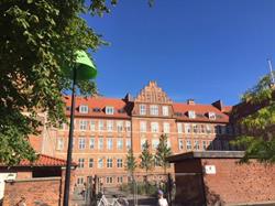 Amager Fælled Skole