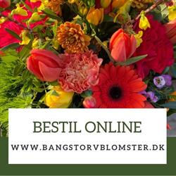 Bangs Torv Blomster v/Laila Hanna Gorgis Saggo