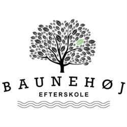 Baunehøj Efterskole