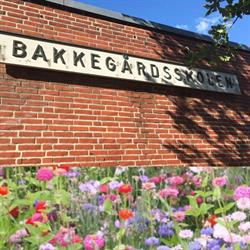 Bakkegårdsskolen