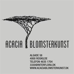 Acacia Blomster