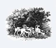 Birkemosegård Hunde-og Kattepension