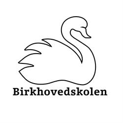Birkhovedskolen