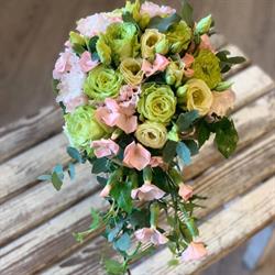 Blomberg Blomster