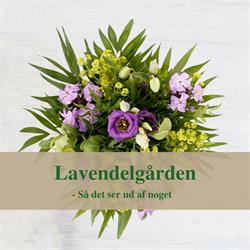 Blomsterforr.lavendelgården