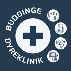 Buddinge Dyreklinik