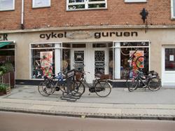 Cykel Guruen v/Lars Holkgaard