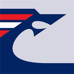 Dansk Pilotforening