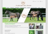 Davinde Rideklubs webside