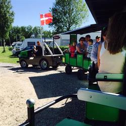 Dokkedal Camping