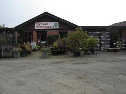 Dybvad Planteskole