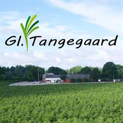 Gl. Tangegård Aps Kurt Nielsen