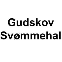 Gudskov Svømmehal