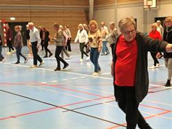 Hørsholm Senior Idræt