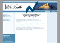 Intellecap ApS