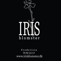 Iris Blomster