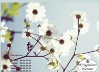 Kirkepladsens Blomster Vinladens webside
