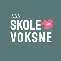 Lilleskole For Voksne