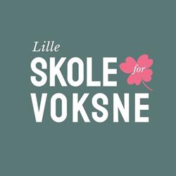Lilleskole For Voksne