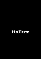 M Hallum a/S Manufakturforretning