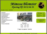 Mimosa Blomsters webside