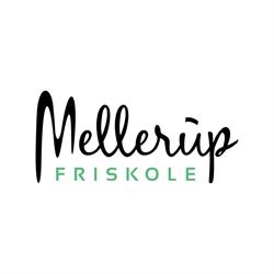 Mellerup Friskole