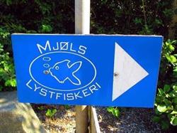 Mjols Lystfiskeri