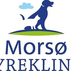 Morsø Dyreklinik