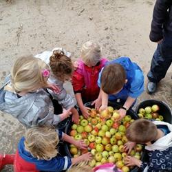 Myretuen Ved Ryslinge Friskole (Forening)