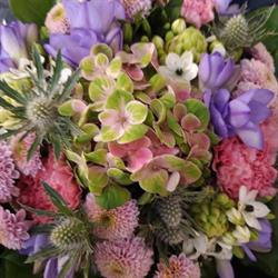 Nybo Blomster V/ Vibeke Loklindt