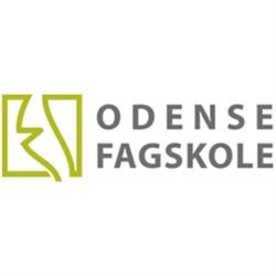 Odense Designakademi